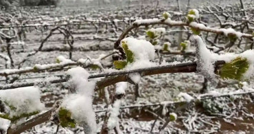 Çiftçiler dikkat: Meteoroloji’den zirai don uyarısı geldi!