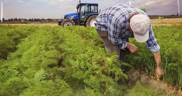 Çiftçiye Müjde! Ekim Ayında Rekor Destek Ödemesi Geliyor