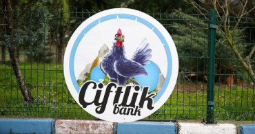 Çiftlik Bank Davasında Mehmet Aydın'ın Eşi Sıla Aydın İfade Verdi