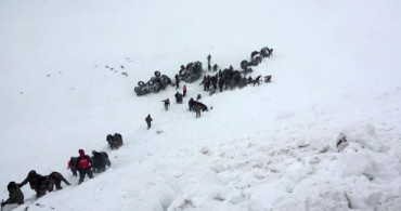 Çığ Faciasında Can Kaybı 41'e Yükseldi