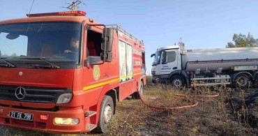 Çınar'daki yangın iki leyleği telef etti