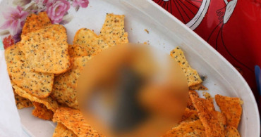 Cipsin içindekini görenler dehşete düşürdü: Tabağa dökünce fark ettiler