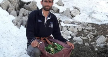 Çiriş Otu: Doğanın Lezzeti