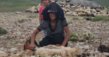 Çobanlık Yapan Genç Kız: Belki Nefret Ettiğiniz Hayatınız Birinin Hayalidir, Değerini Bilin