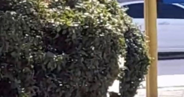 Çocuk Parkında Sigara İçilmesi Üzerine Mahalle Muhtarından Çağrı