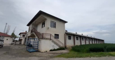 Çorum'da 650 Bin Liraya Satılık Genco: 1,2 Tonluk Kurbanlık Tosun
