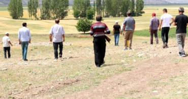 Çorum'da Köylüler Aslan Avına Çıktı