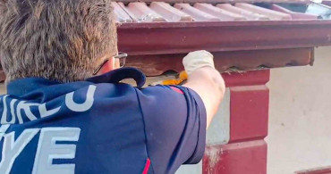 Çorum'da çatı kenarına sıkışan kuş, itfaiye ekipleri tarafından kurtarıldı