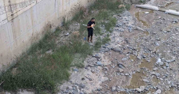 Çorum'da çaya düşen kediyi itfaiye ekipleri kurtardı