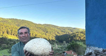 Çorumda dev mantar bulundu: 5 kilo 102 gram
