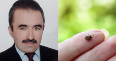 Çorum'da Kene Isırması Nedeniyle Bir Kişi Hayatını Kaybetti