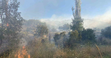Çorum'da orman yangını: itfaiye ve orman ekipleri müdahale ediyor