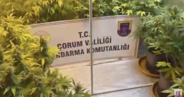 Çorum'da Uyuşturucu Operasyonları: 220 Şüpheli Yakalandı