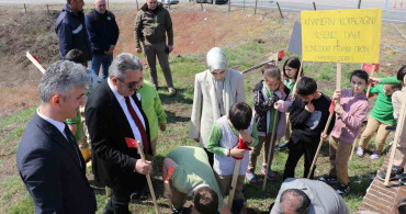 Cumayeri’nde Fidan Dikimi Etkinliği Gerçekleştirildi