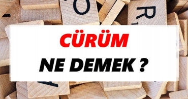 Cürüm Ne Demek?