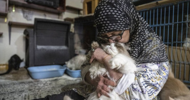 Dahiye'den Kaçış: Hayvansever Diyana Abadi'nin Alarm Zamanındaki İfadesi