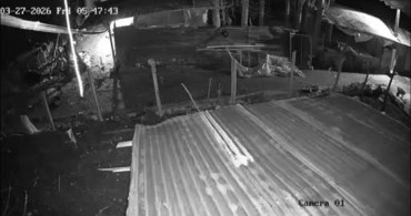 Darende'de Kümese Giren Kurt, Kazı Kaplanarak Kaçtı