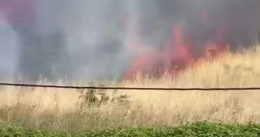 Darıca’da boş arazide yangın paniği