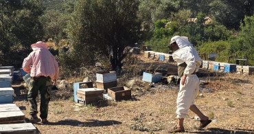 Datça'da çıkan yangın hızla kontrol altına alındı