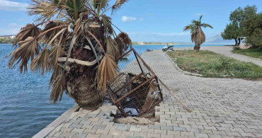 Datça'daki Şiddetli Fırtına Sonrası Hasar Tespiti