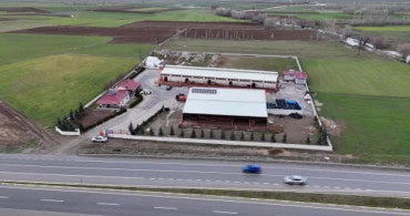 Dede Mesleği Çiftçiliğe Yöneldi: Enes Öksüm'ün Hikayesi