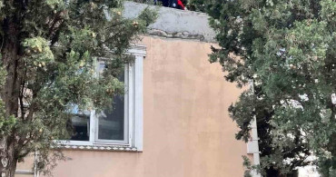 Defne'de İtfaiye Ekiplerinden Kedilere Kahramanlık