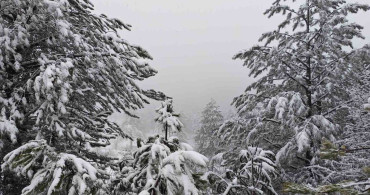 Demirci İlçesinde Kar Yağışı Etkili Oluyor