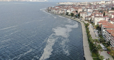 Deniz Salyası Krizini Fırsata Çevirecekler