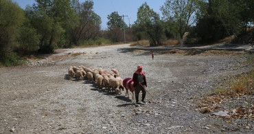 Denizli'de 852 Yıllık Gelenek Kuraklık Nedeniyle Sembolik Olarak Gerçekleşti