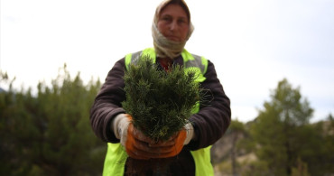 Denizli'de Orman İşçilerinin Erozyonla Mücadelesi