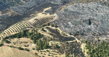 Denizli’de pamukkale yakınlarında çıkan yangın kontrol altına alındı