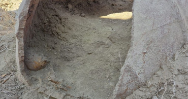 Denizli'de Tarihi Kemik Parçaları Bulundu