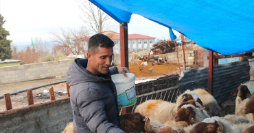Depremzede Besici, Devlet Desteğiyle Hayvan Sayısını Artırdı