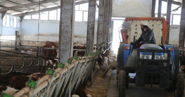 Devlet Desteğiyle Hayvan Sayısını 4'ten 80'e Çıkardı