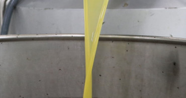 Devlet Desteğiyle Zeytin İhracatı Artıyor