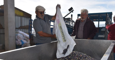 Devlet Destekli Zeytinyağı Sıkım Tesisi Yöre Halkını Üretime Teşvik Ediyor