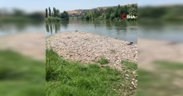 Dicle Nehri'nde bir kişinin cansız bedeni bulundu