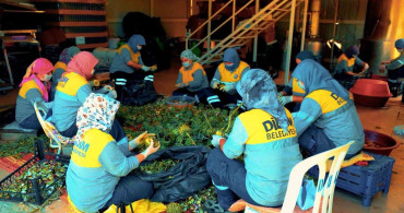 Didim Belediyesi Doğal Ürünleriyle Vatandaşlarla Buluşuyor