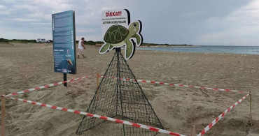 Didim Belediyesi ekiplerinin zamanında müdahalesi caretta carettayı kurtardı