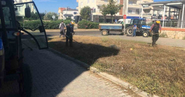 Didim Belediyesi yeşil alanlarda bakım çalışmalarını sürdürüyor
