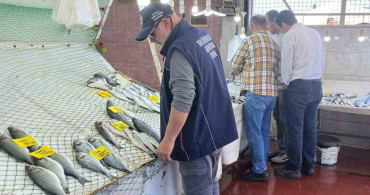 Didim'de Balık Satış Noktalarına Denetim