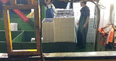 Didim'de Balıkçılara Kota Denetimi