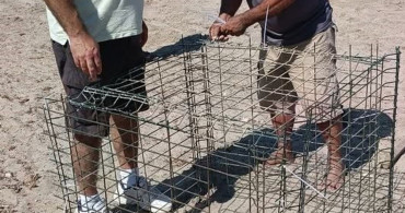 Didim'de Caretta Caretta Yuva Koruma Çalışmaları Devam Ediyor