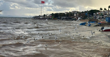 Didim'de Şiddetli Yağış Etkili Oldu