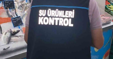 Didim'de su ürünleri denetimleri sürüyor