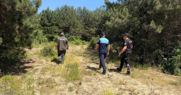Dilovası’nda Orman Yangınlarına Karşı Denetim