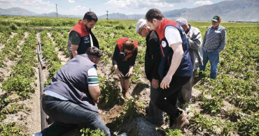 Dinar'daki Dolu Yağışı Tarım Alanlarına Zarar Verdi