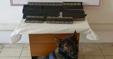 Diyadin'de 180 Paket Kaçak Sigara Ele Geçirildi
