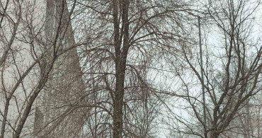 Diyadin'de Nisan Ayında Kar Sürprizi