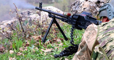 Diyarbakır Lice'de Öldürülen Teröristlerden 4'ü Gri Listede Çıktı